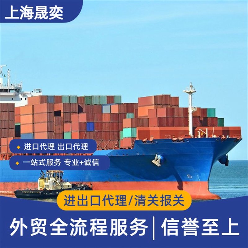 国际贸易新风向：进出口代理行业动态解析